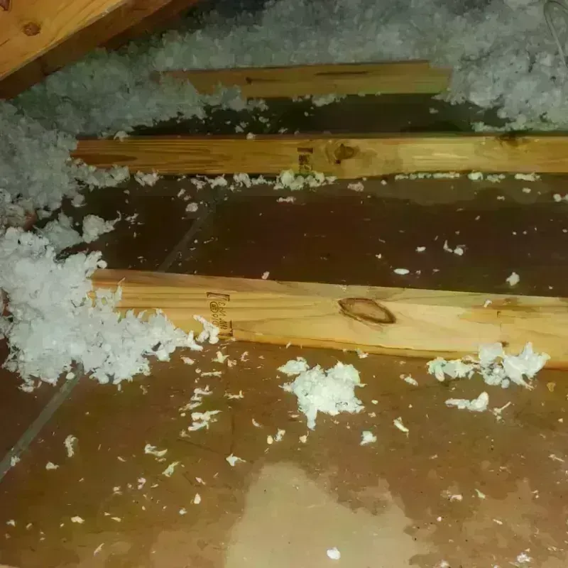 Attic Water Damage in Garden City, MO