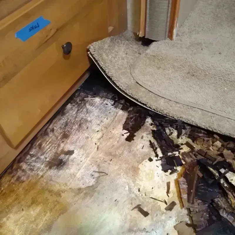 Best Wood Floor Water Damage Service in Garden City, MO